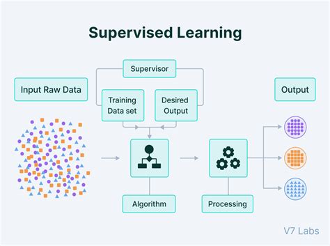 Identifying the Type of Learning in Which Labeled Training Data Is Used