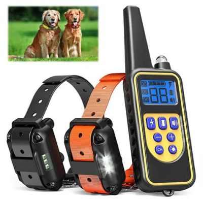 What Is The Best Training Collar For Dogs?